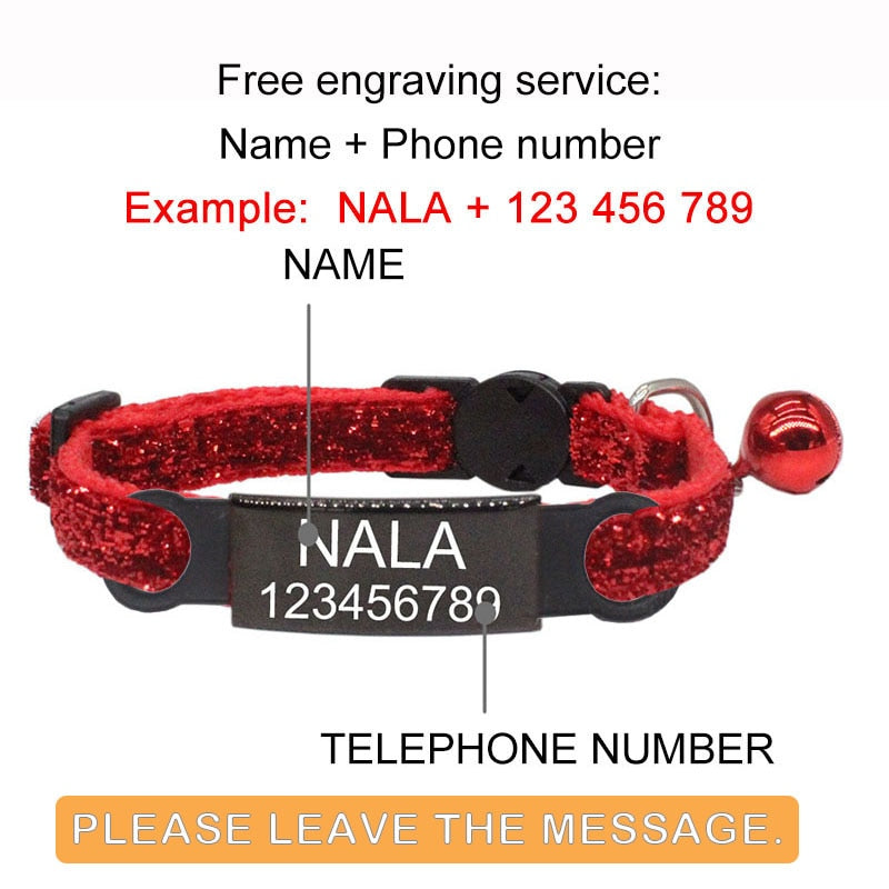 Coleira Personalizada nome e número de telefone