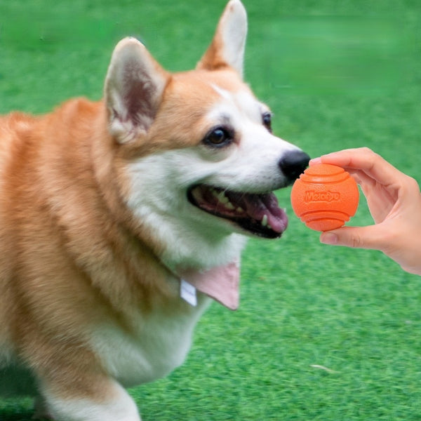 Brinquedo Bola interativa para seu Pet