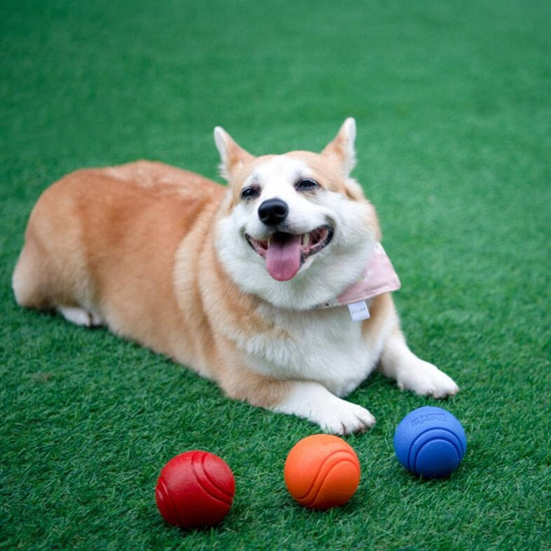 Brinquedo Bola interativa para seu Pet