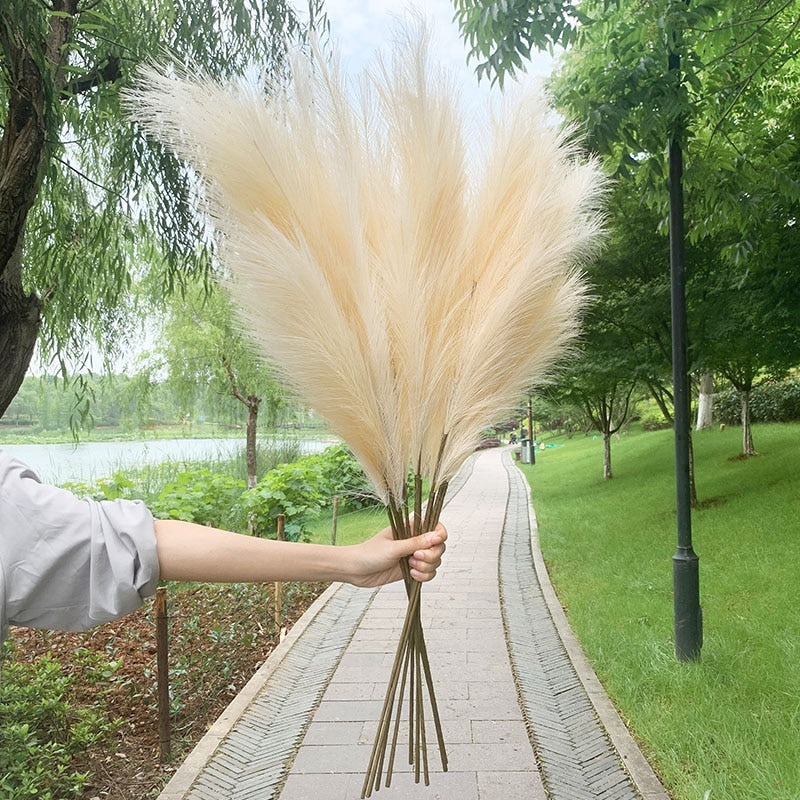 Arranjo 5 Peças de Grama dos Pampas