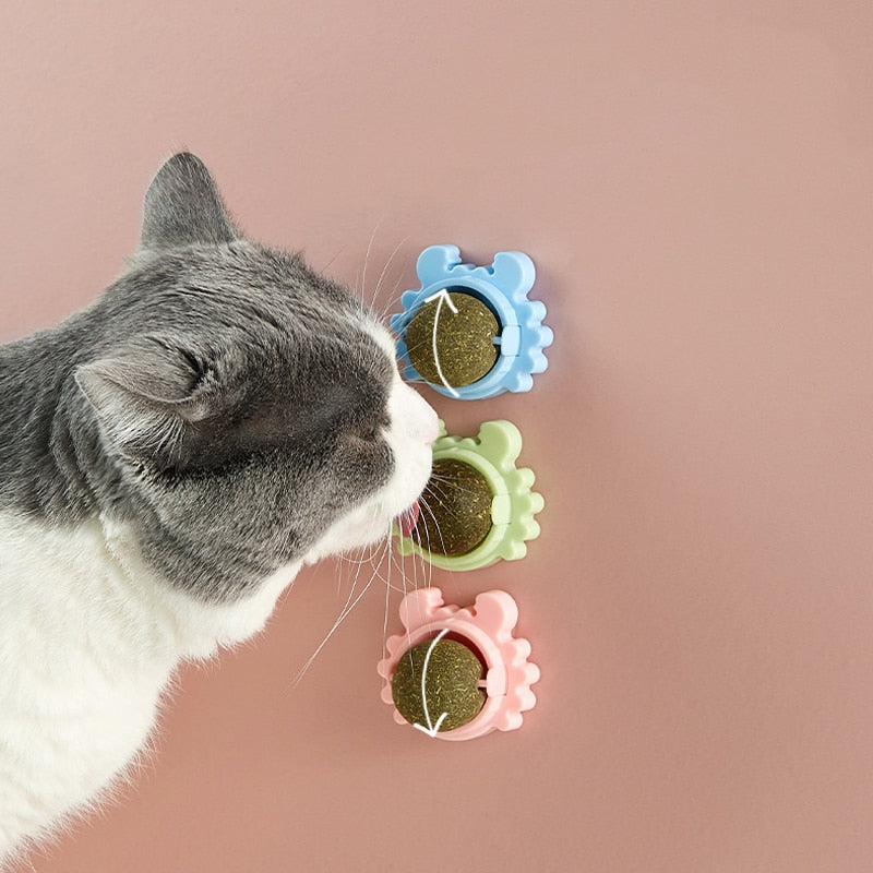 Brinquedo Bola Snack interativo para Gatos