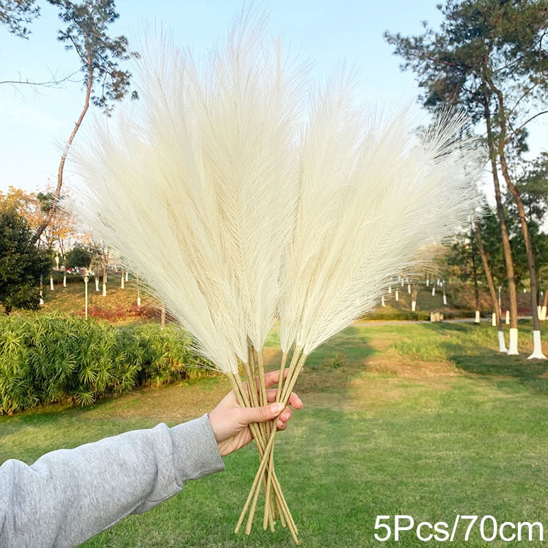 Arranjo 5 Peças de Grama dos Pampas