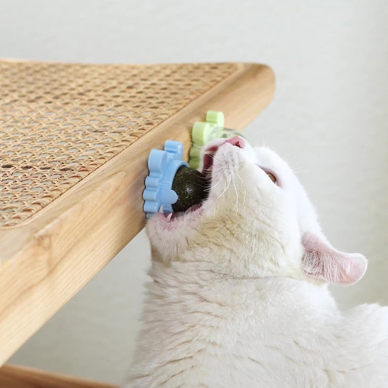 Brinquedo Bola Snack interativo para Gatos